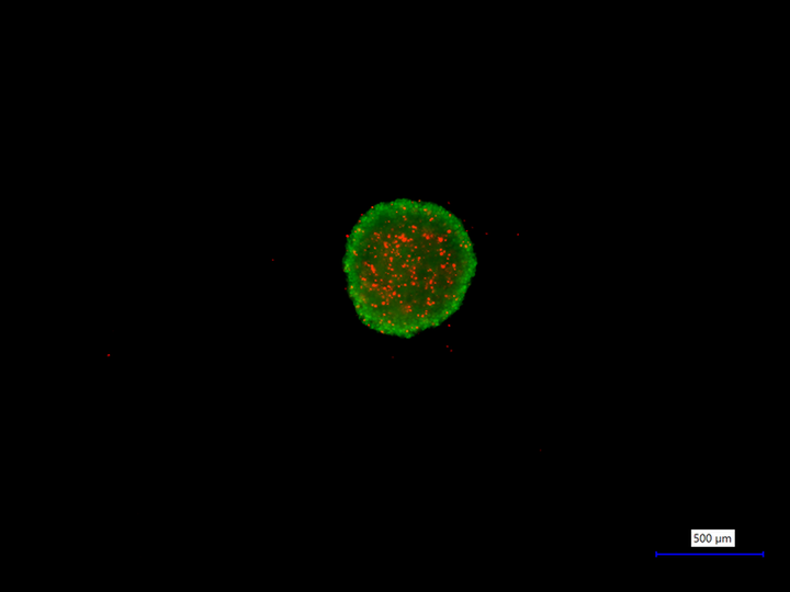 image-02.png
