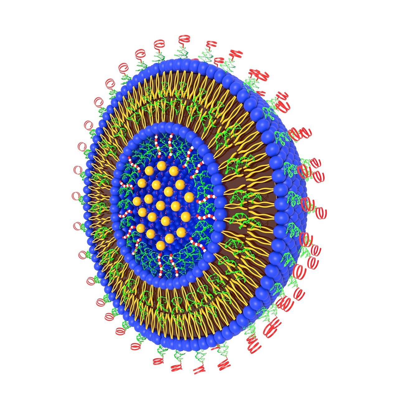 nanomedicine.jpg