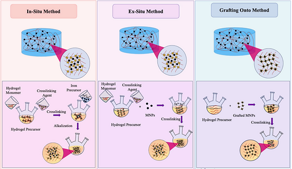 magnetic-hydrogel.png