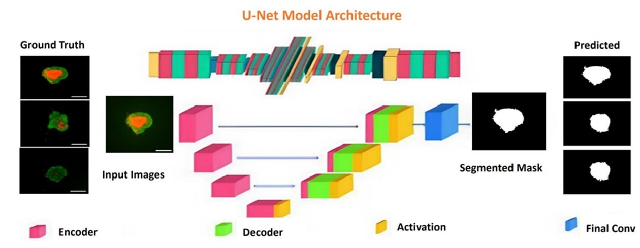 u-net.jpg